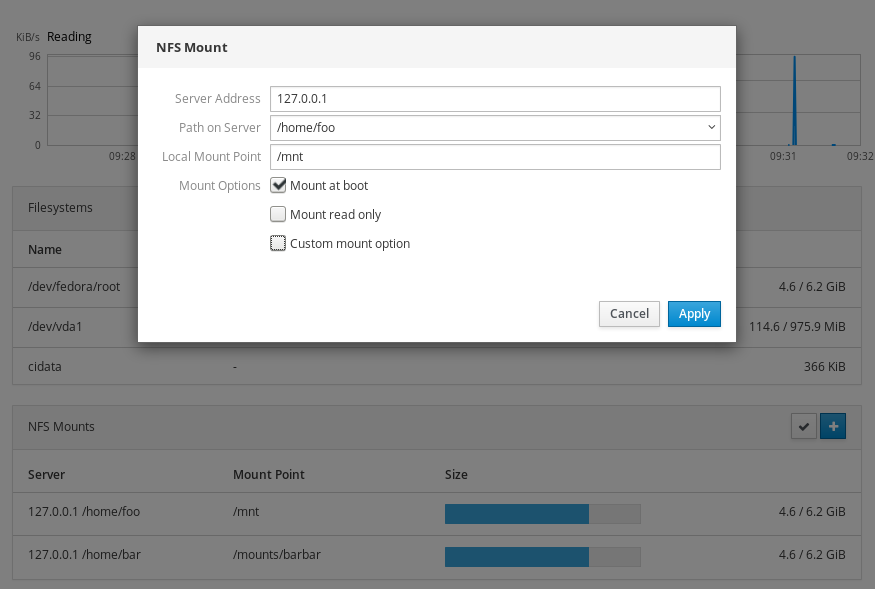 NFS option checkboxes